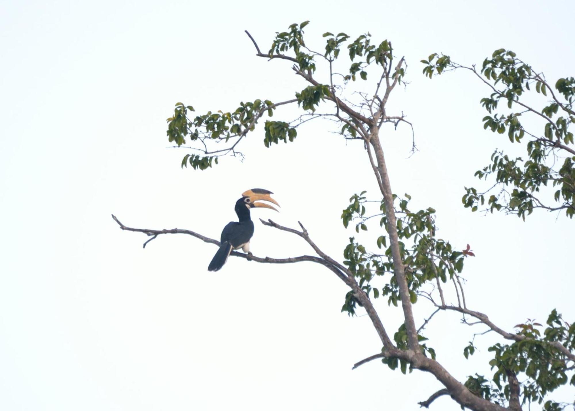 Pelican View Cottages Kataragama Dış mekan fotoğraf